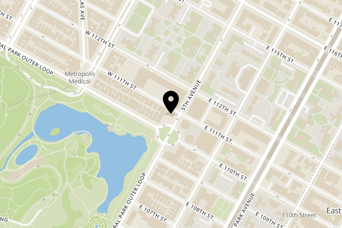 Map showing the location of Cheesesteaks and Wing Spot (Manhattan) Cheesesteaks and Wing Spot (Manhattan) on 1316 5th Ave in New York